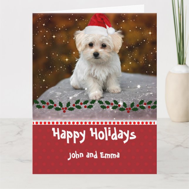Carte de vacances modèle avec adorable chiot malta (Devant)