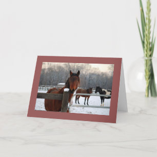 Carte de vacances Mustang