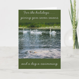 Carte de vacances Paws and Feathers