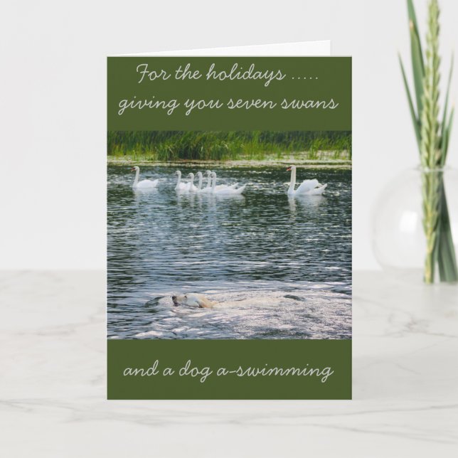 Carte de vacances Paws and Feathers (Devant)