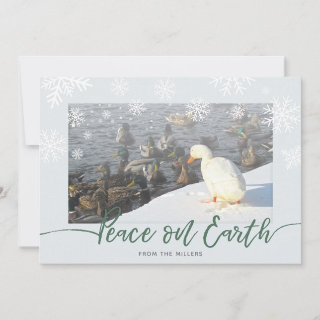 Carte de vacances Peace on Earth Ducks (Devant)