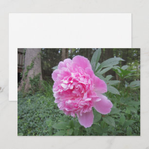 Carte de vacances Peony Flat