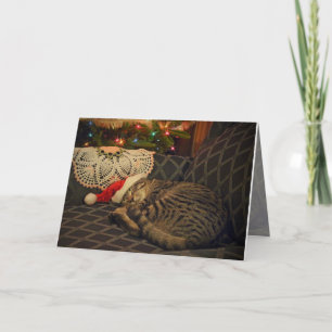 Carte de vacances Père Noël Daisy Kitty Chat Kitte