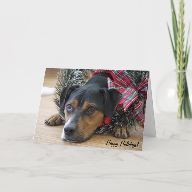 Carte de vacances "Père Noël des cookies ?" (Devant)
