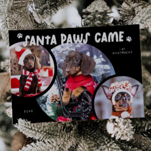 Carte de vacances père Noël Paws Black Dog Photo