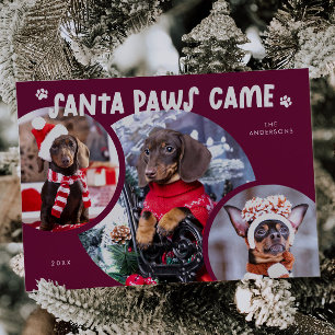 Carte de vacances père Noël Paws Cranberry Dog Pho
