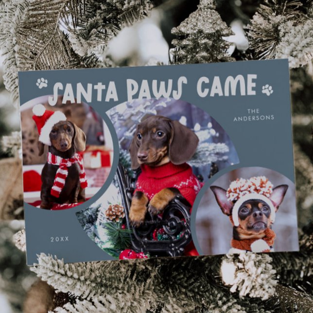 Carte de vacances père Noël Paws Slate Blue Dog Ph (Créateur téléchargé)