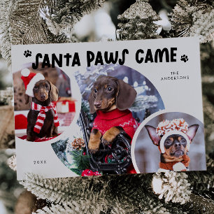Carte de vacances père Noël Paws White Dog Photo