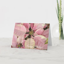 Carte de vacances Pink Poinsettias