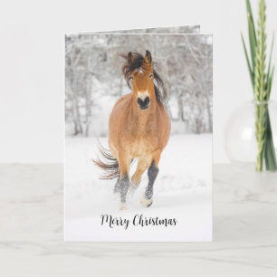 Carte de vacances pliée Cheval courant dans la nei