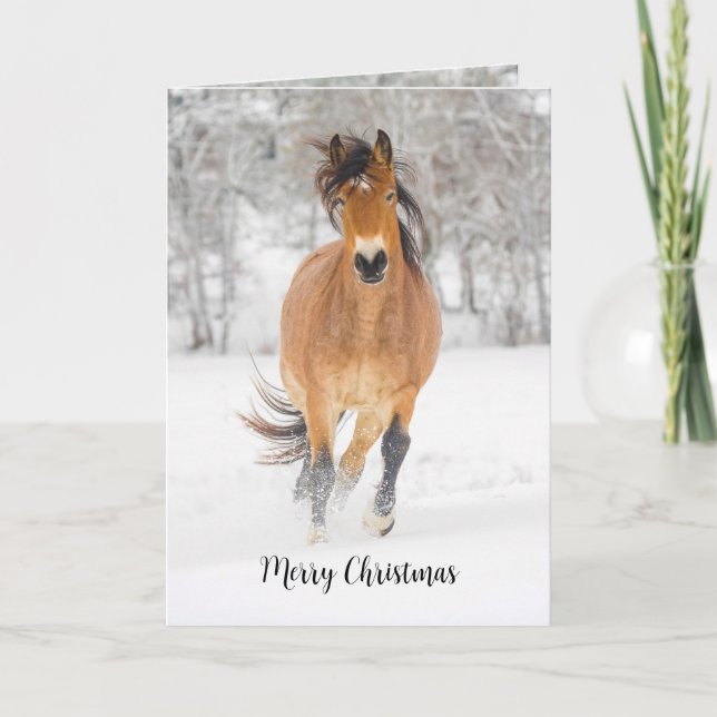 Carte de vacances pliée Cheval courant dans la nei (Devant)