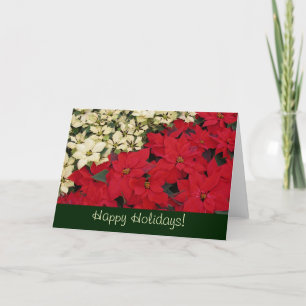 Carte de vacances Poinsettias Rouge et Blanc