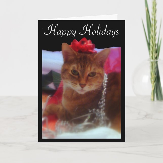 Carte de vacances "Precious Gift" Cat Photographie (Devant)