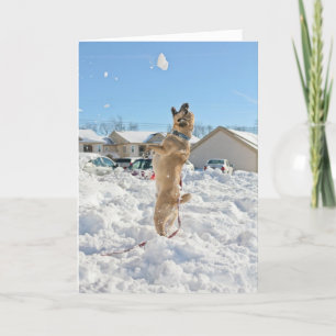 Carte de vacances Puggle !