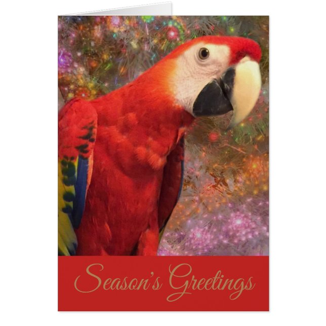 Carte de vacances Red Scarlet Macaw Parrot (Devant)