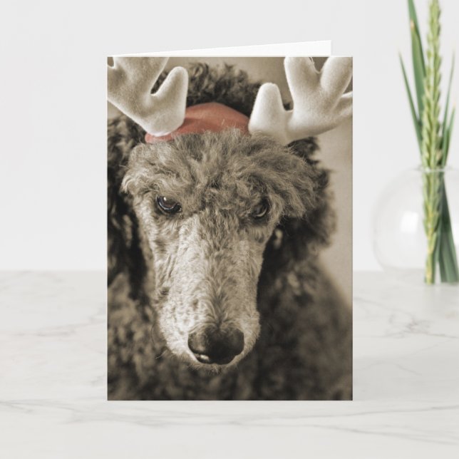 Carte de vacances Reindoodle III (Devant)