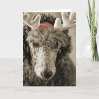 Carte de vacances Reindoodle III