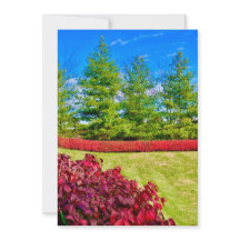 Carte de vacances rouge et verte 