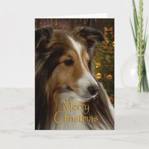 Carte de vacances Sheltie