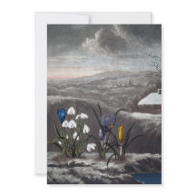 Carte de vacances snowdrop