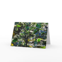 Carte de vacances verte Dublin