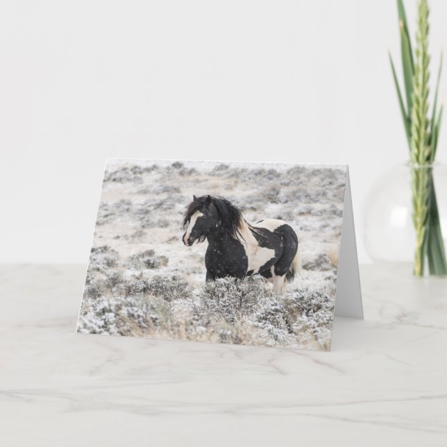 Carte de vacances "Washakie in Winter" (Devant)