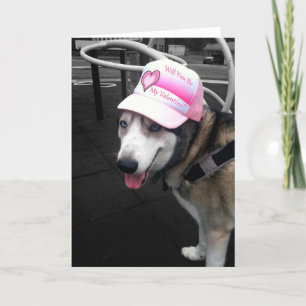 Carte de Valentine de chien de traîneau sibérien