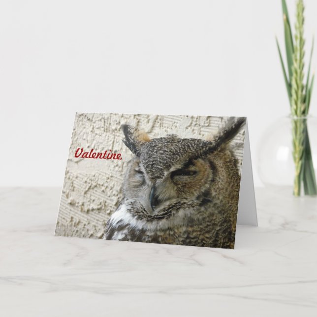 Carte de Valentine de hibou (Devant)