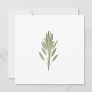 Carte de verdure plante aux herbes Sage