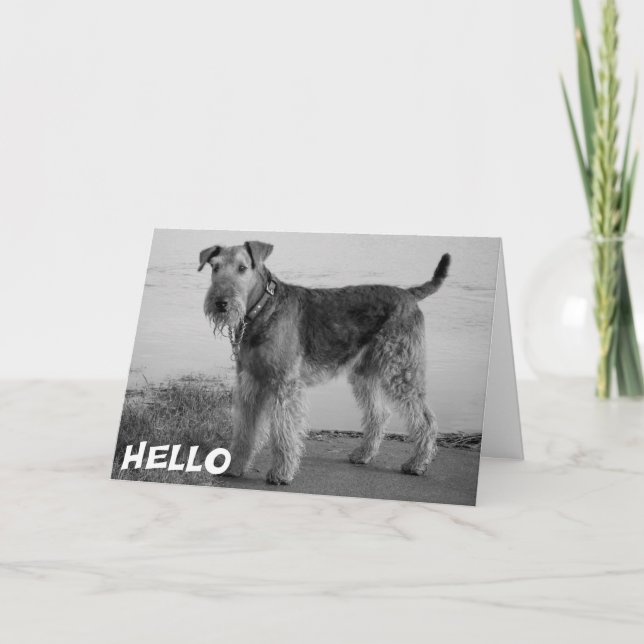 Carte de vers pour chiot Airedale - Vers (Devant)
