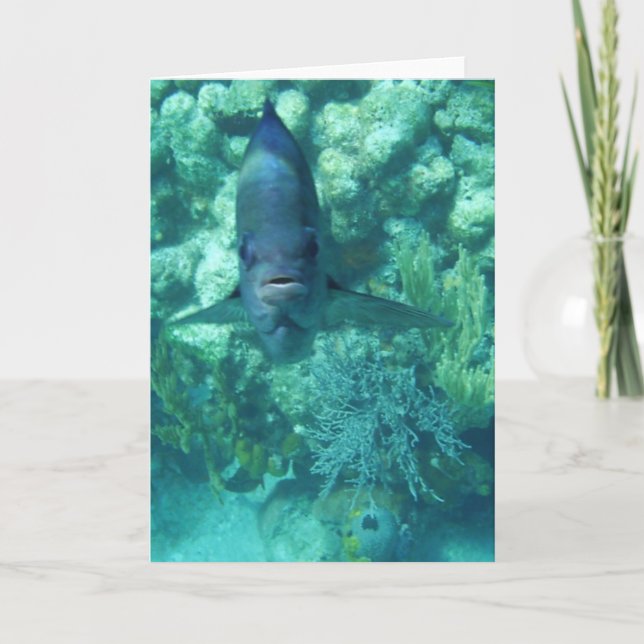 Carte de Visage-à-Poisson (Devant)