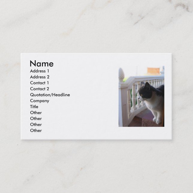 Carte de visite (Devant)