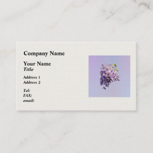 CARTE DE VISITE 