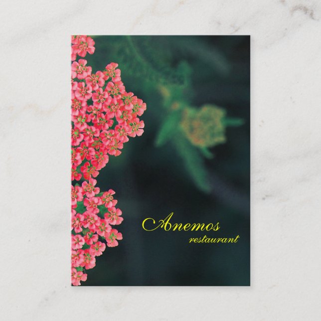 carte de visite (Devant)