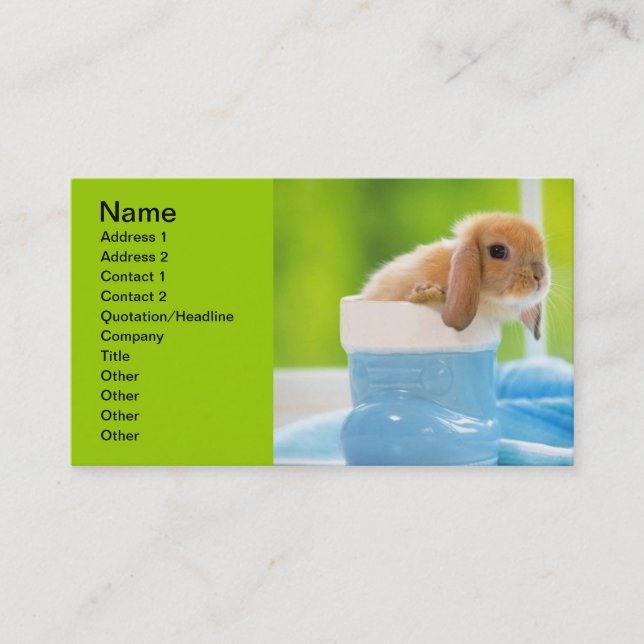 Carte De Visite 20_baby_animal (4) BABY BUNNY RABBIT bleu greens (Devant)