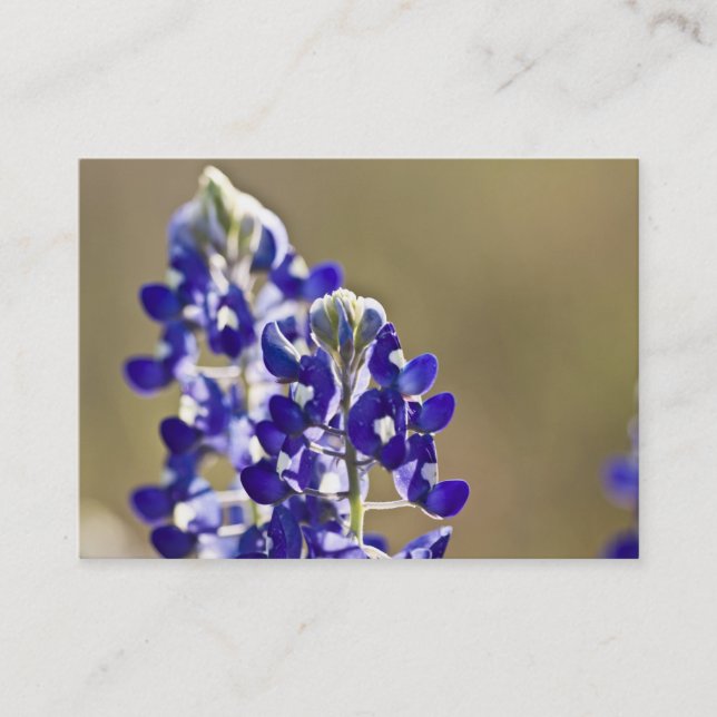 Carte De Visite 2 est meilleur qu'un (Devant)