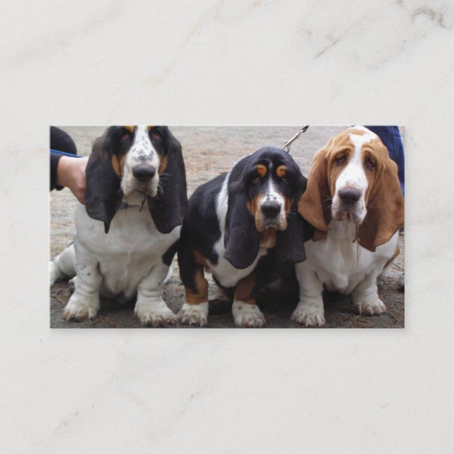Carte De Visite 3 chiots basset hound (Devant)
