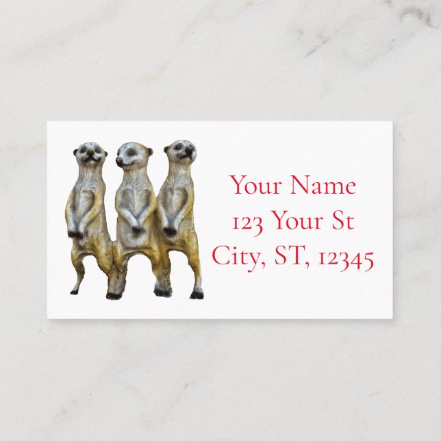 Carte De Visite 3 Meerkats debats Thunder_Cove (Dos)