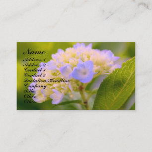 Carte de visite à fleurs doux Hydrangea