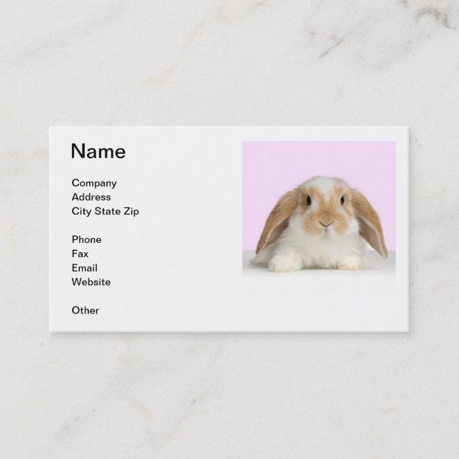 Carte de visite à oreilles de lapin de Lop (Devant)