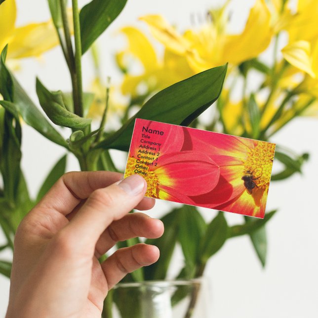 Carte De Visite Abee sur la florale de Red Dahlias (In Situ)