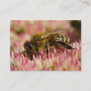 Carte De Visite Abeille à Miel Occidentale Macro