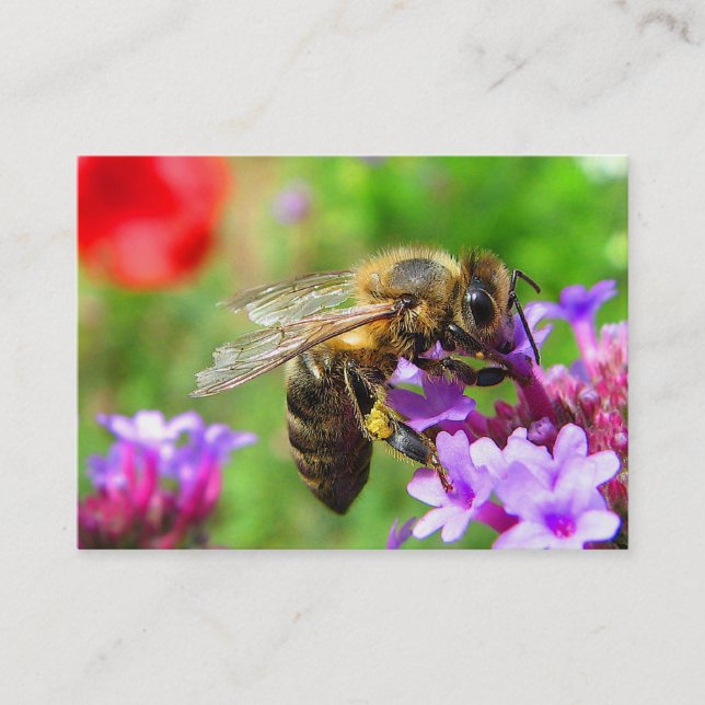 Carte De Visite Abeille sur l'ATC de verveine (Devant)
