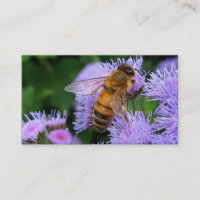 Abeilles à vendre