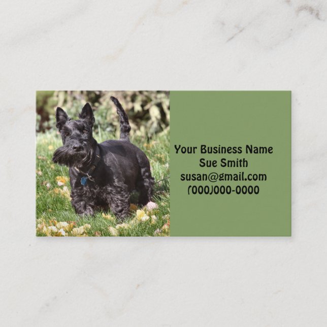 Carte De Visite Ach (Devant)