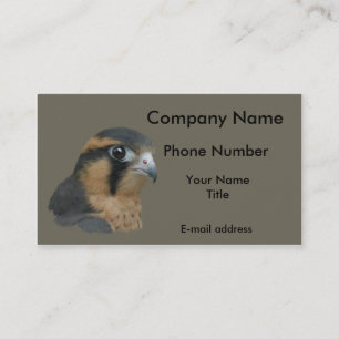 Carte De Visite ADiplomado