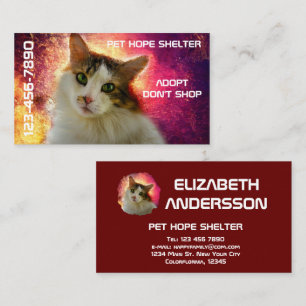 Carte De Visite Adorable Cute Calico Chat