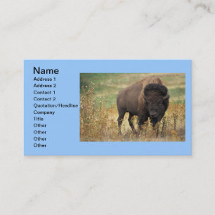 Carte De Visite Affaires indiennes de bureau d'art animal de