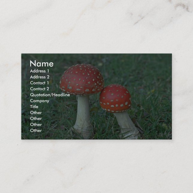 Carte De Visite Agarics de mouche (muscaria d'amanite) (Devant)