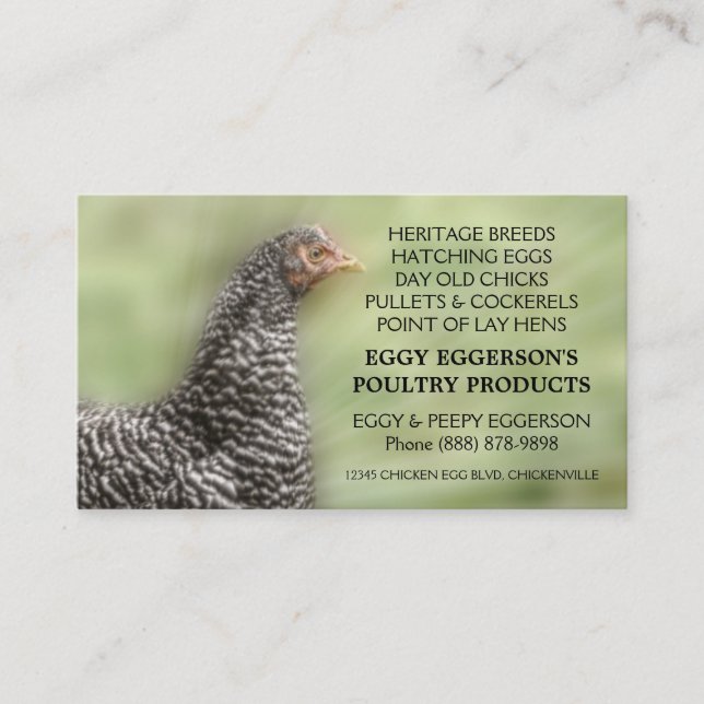 Carte De Visite Agriculteur interdit d'oeufs de poulet de roche (Devant)